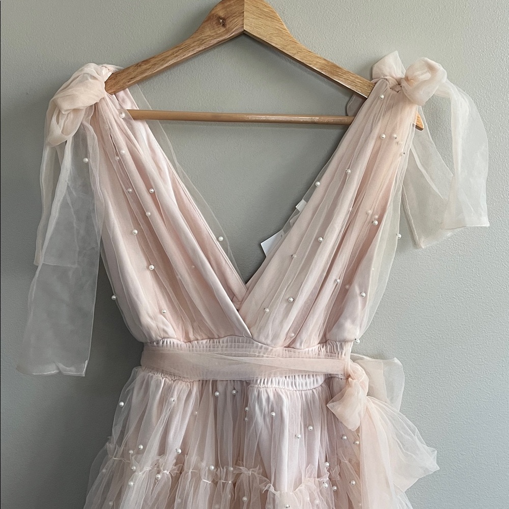 Mable Pearl Stud Swiss Dot Tulle Mini Dress in blush pink size large - Picture 2 of 16